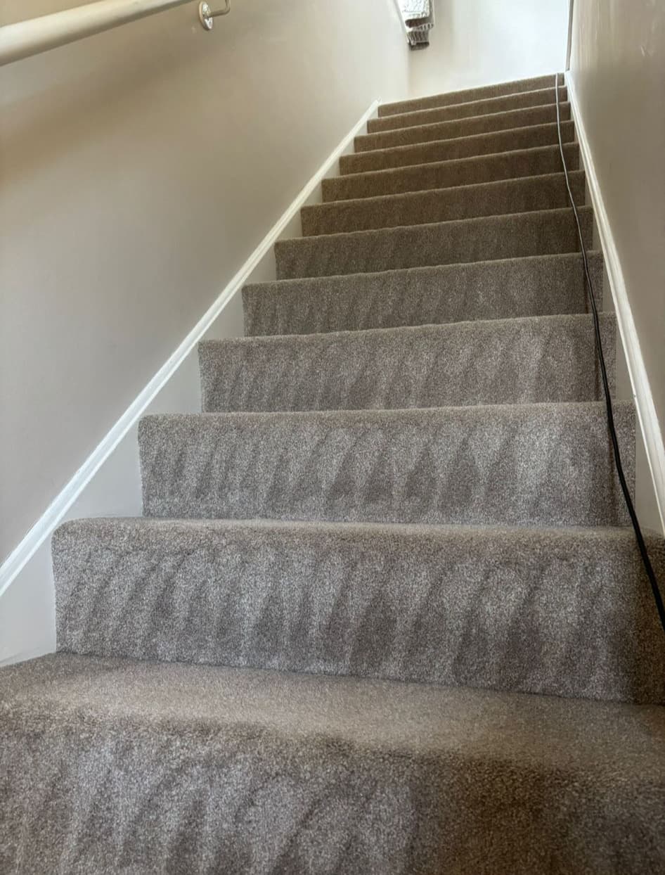 Carpet cleaning with Texatherm system